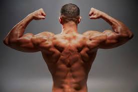 You need vitamins and minerals to increase your testosterone. Best Testosterone Boosters In 2021 Top Testo Boosting Pills Peninsula Daily News
