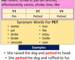 Verb 1 2 3 V1 V2 V3 Verb Form List In English English Grammar Here