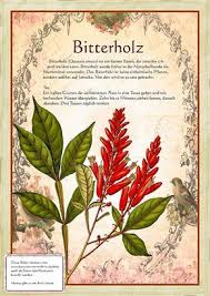 Pin Von Jasmin Zwiech Auf Meine Pflanzen Im Garten Krauter Pflanzen Heilpflanzen Pflanzen