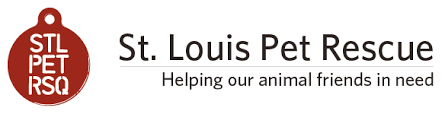 Adopters must be at least 21 years old and live within one hour's drive of st. St Louis Pet Rescue Helping Our Animal Friends In Need