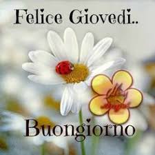 Buongiorno E Buon Giovedi Con Frasi E Dediche Speciali Buongiorno Felice Giovedi Giovedi
