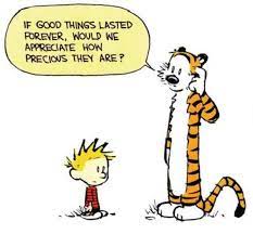 We did not find results for: 15 Things Calvin And Hobbes Said Best Calvin And Hobbes Quotes Calvin And Hobbes Best Calvin And Hobbes