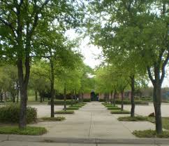 Modern Commercial Landscaping On Commercial Landscape Commercial Landscape Design Commercial Landscaping Xeriscape Landscaping