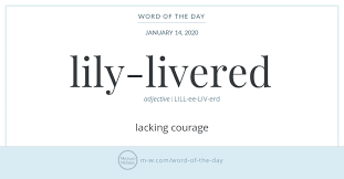 Word Of The Day Impregnable In 2020 Word Of The Day Words Weird Words