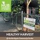 HUB Garden Class: Healthy Harvest (Northgate)