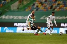 Clear at the top of the table by two points. Penalti Polemico Salva Sporting A Tempo Do Natal E Leoes Mantem Lideranca Da Liga Futebol Correio Da Manha