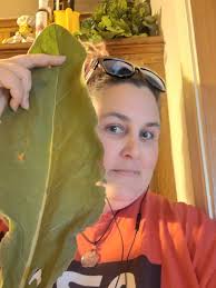 My favorite patch until what I have growing gets bigger. I never harvest  all. 💚🫶🏼💚