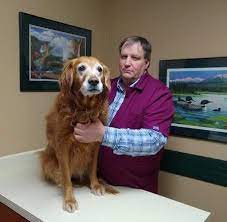 You can now shop locally for your pet's favorite food, medication, training aids and more, all with the click of a button. About Grand Avenue Animal Hospital Billings Mt Pet Clinic