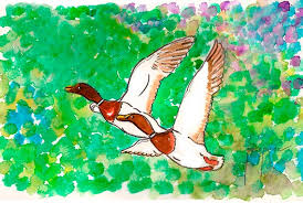 El día internacional de las aves se celebra el 09 de mayo en todo el mundo por iniciativa de una organización llamada birdlife todas las aves se reproducen mediante huevos (son ovíparas) y casi todas alimentan a sus crías. Dia Internacional De Las Aves Revista De Flores Plantas Jardineria Paisajismo Y Medio Ambiente