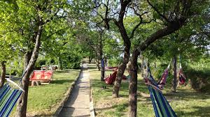 Verpasst Nicht Wiens Chilligsten Heurigen Mit Den Farbenfrohen Hangematten 1000things At Wien Reisen Urlaub