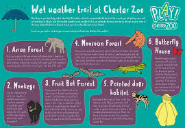 Wet Weather Walks Schools