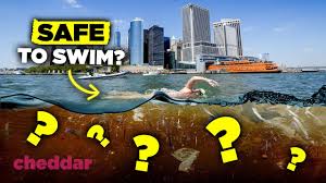 Open Water Swimming Guide For River And Estuary Swimming | Wild Open Water  Safety – Swim Secure Uk