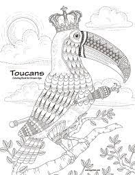 Their huge bills make them. Toucans Coloring Book For Grown Ups 1 Amazon De Snels Nick Fremdsprachige Bucher