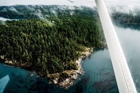 Each tree has one or more photos and a brief geographic description as well as a range map that can be viewed by map of juniperus occidentalis. Why Washington S Orcas Island Should Be Your Next Family Getaway Conde Nast Traveler