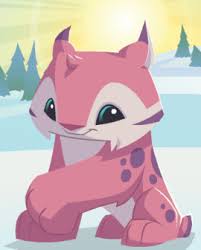 Lynx Animal Jam Play Wild Animal Jam Animal Jam Codes