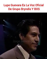 Grupo Bryndis