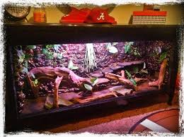 Vivarium I Made For My Future Dragon Out Of An Old Dresser Bearded Dragon Bearded Dragon Care Bearded Dragon Habitat