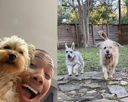 Amazing Employees of DFW Pet Sitting