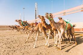 The following apache camel components act as resource endpoints when they appear as the destination of a route, for example, if they appear in the to() dsl command. Al Shahaniya Racetrack