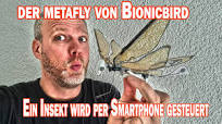 Ein filigranes RC Insekt Metafly - geht es wirklich in die Luft? von  Bionicbird