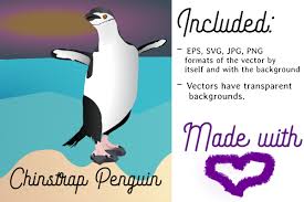 Download Chinstrap Penguin Graphic By Nydiasrobles Designs Creative Fabrica Yellowimages Mockups
