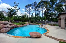 Love The Big Rock Diving Board Backyard Landscaping Designs Backyard Landscaping Pool Designs