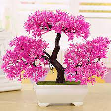 We did not find results for: 43 Pink Bonsai Trees
