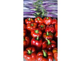King Of The North Pepper Introduced In 1934 By Harris Seeds Of Rochester Ny King Of The North Is Stuffed Peppers Stuffed Sweet Peppers Stuffed Hot Peppers