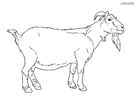 Antistress coloring book for adults. Goats Coloring Pages Free Printable Goat Coloring Sheets