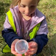 Three local projects benefit from George's Fund grant