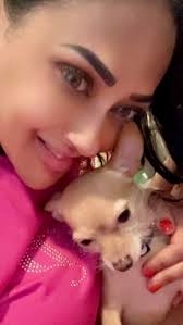 Joined to support sister and learn something new