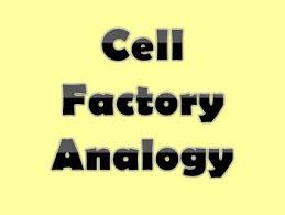 Complete with videos, quizzes, links and summary tables. Cell Factory Worksheets Teaching Resources Teachers Pay Teachers