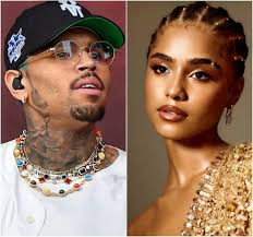 Chris Brown recently opened up about his relationship with Tyla, and it's not what you'd expect. Apparently, their r0mance blossomed 0ver a shared passion for music . This might come as a