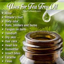 Applying tea tree oil regularly to your nails can cure fungal infections. Dxn Tea Tree Cream What Tea Tree Oil Dxn International Facebook