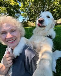 The Watson-grandma selfie series 👵🏻🐻‍❄️🤍 Which ones are your favorites?  #dog #golden #senior #cute #goldenretriever