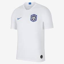 Tianjin Teda 2019 Home