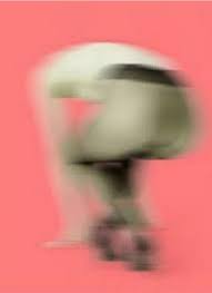 Leg color varies from dull greenish to bright orange; Thomas Ruff Ground Breaking Photographs Nolden H Fine Art