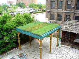 Simple Green Roof Carport Green Roof Design Green Roof Carport Designs