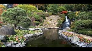 Japanischer Garten Kaiserslautern Herbst 2015 Youtube