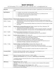 chronological order resume examples