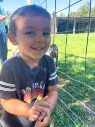 Seeking tutor for homeschooling in Rolla