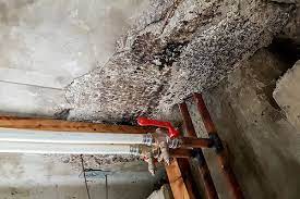I tore down some wood paneling that was starting to my question is, should i be worried about releasing asbestos in the air from any of the. Asbestos Removal Rochester Ny Rock Environmental Inc