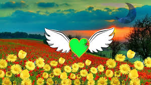 Get it as soon as fri, jun 4. Tubget Download Video Wedding Video Flowers Aur Dil Ka Green Screen Frame Effect New