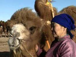 Deep / dark mongolian throat singing meditation. Coaxing Ritual For Camels Youtube