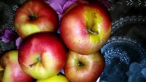 Արևածաղկի սերմերի վնասակար և օգտակար հատկությունները - YouTube
