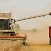 Weed wiper video overview of the atv weed wiper from chapman designed for the selective application of herbicides to treat a. 1