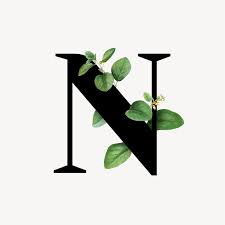 Botanical Capital Letter N Vector Premium Image By Rawpixel Com Aum Donlaya Kappy Kappy Manotang Letter N Lettering Alphabet Lettering Alphabet Fonts