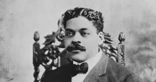 Image result for Afrosolen schimperi