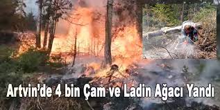 Kısa sürede büyüyen yangın, artvin merkez ve ilçelerden gelen itfaiye ekiplerinin yaklaşık 3 saat süren çalışmasının ardından söndürüldü. Artvin Yangin Haberleri Cay Tv Haber