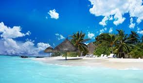 Relationship with the contact person given. Cebu Philippinen Reisen